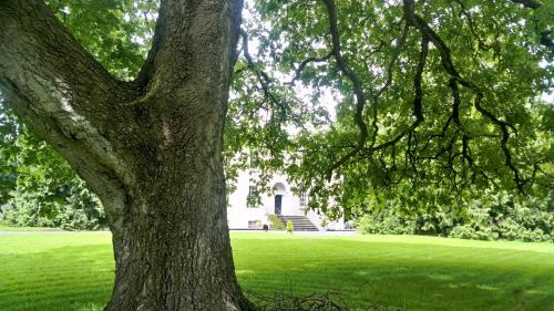 Jamestown Bed & Breakfast | Augherea House
