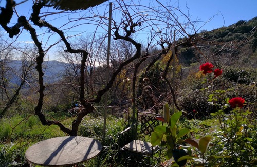 Laroles Cottage | Aula´s Cottage in Villa Buena Vista for 2 people