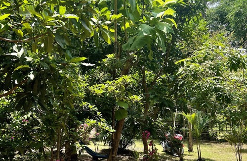 Kuta House | Aura Bungalow mit schöner Terrasse und Garten