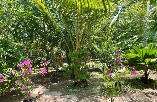Kuta House | Aura Bungalow mit schöner Terrasse und Garten