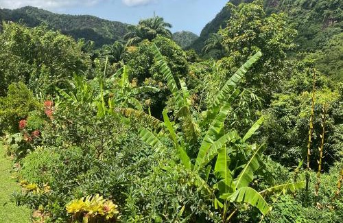 Fond Cani Villa | Aura Dominica