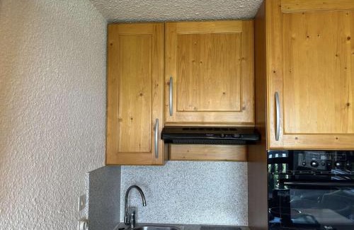 Auris Apartment | Auris en Oisans: Appart 4 pers, 250m pistes, balcon, parking gratuit, animaux admis - FR-1-297-339