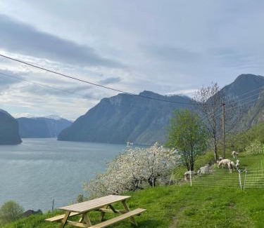 Aurland Apartment | Aurland Stegastein Apartment