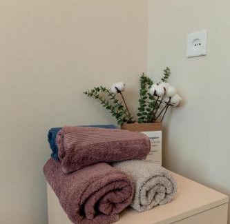 Khujand Apartment | Aurora Apartment