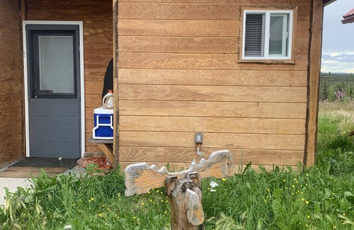 Big Lake Cabin | Aurora Lights, Moose Cabin with mountain and woods view