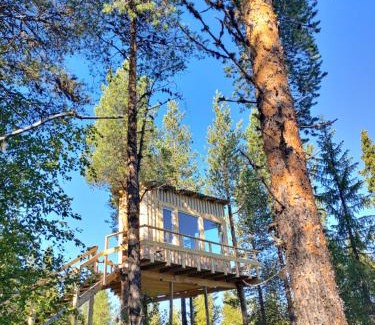 Arvidsjaur Other | Aurora Lodge