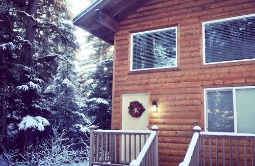 Bear Creek Cabin | Aurora Skies Lodging - Private Cabin with Open Loft Bedroom - Sleeps 3-6