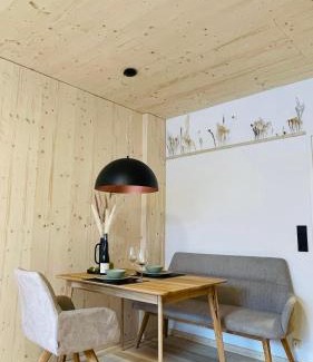 Bad Aussee Apartment | Ausseer Hoiznest