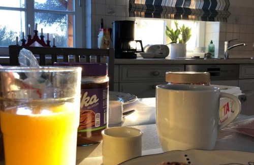 Oevenum Apartment | Austernfischer