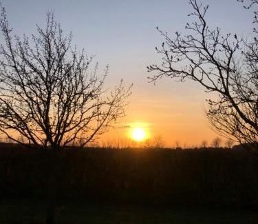 Oevenum Apartment | Austernfischer