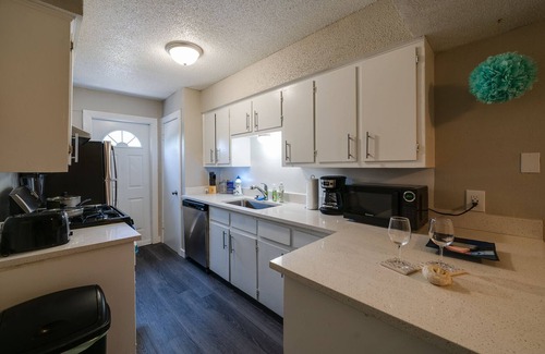 South Manchaca Apartment | Austin SoCo breeze - near SoCo - 1 BR Apt