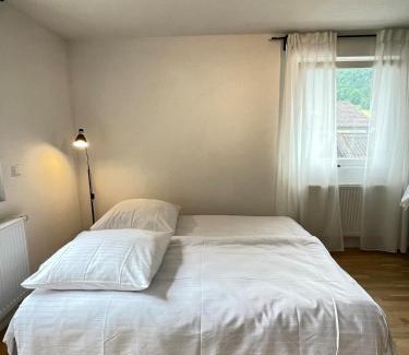 Baden-Baden Apartment | Auszeit im Grünen - citynah