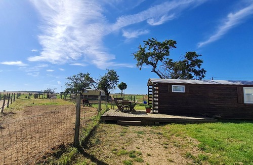 Burthecourt-aux-Chenes Cottage | Authentic caravan in nature near Nancy