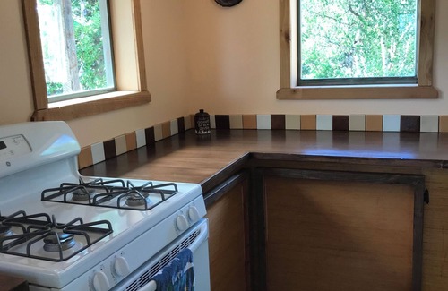 Healy Cabin | Authentic Alaskan cabin experience near the heart of Denali