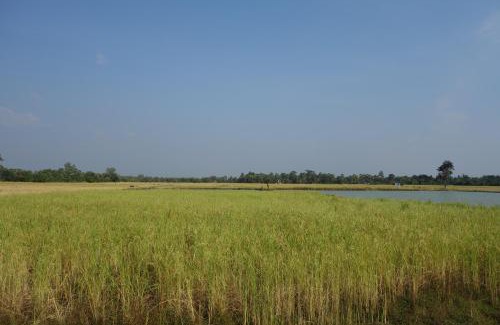 Siem Reap House | Authentic Cambodian Angkor Cottage