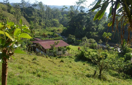 La Suiza Cottage | Authentic Vacation Home in Unique Setting of 25 Acres of Tropial River Landscap