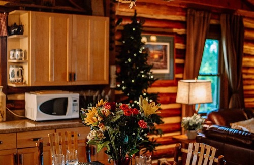 Traverse City Cabin | Authentic Log Cabin on Beautiful Silver Lake. Pet Friendly!