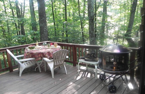 Nellysford Cabin | Authentic Log Cabin-