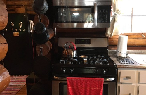 Baldwin House | Authentic Log Cottage on Wolf Lake