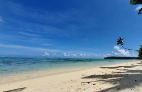 Hauru Apartment | Auti studio direct access to the beach on Moorea with AC -WiFi - Netflix