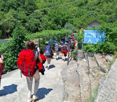 Virpazar Other | Auto camp Radoman