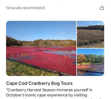 New Seabury House | Autumn Escape by the Cape 4 drm home