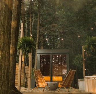 Huntsville House | Aux Box Muskoka Modern Muskoka Bunkie