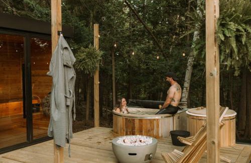 Huntsville House | Aux Box Muskoka Modern Muskoka Bunkie