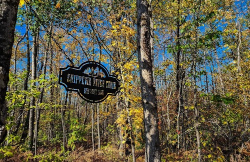 Ojibwa Cabin | Available this weekend!-Hot Tub, WIFI, King Beds