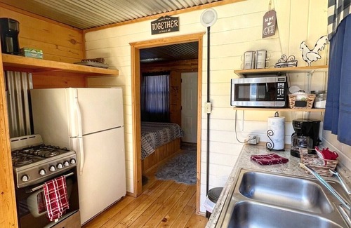 Creede Cabin | Avalanche Lily - Cabin 4 - 2 bedrooms in Creede, Colorado
