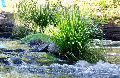 Toms Creek Cottage | Avalon River Retreat - 400 acres of riverside peace and serenity