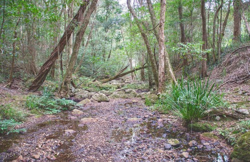 Toms Creek Cottage | Avalon River Retreat - 400 acres of riverside peace and serenity