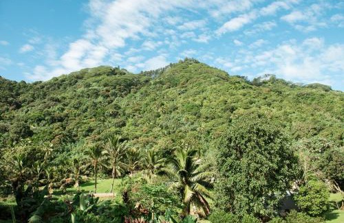 Ngatangiia Apartment | Avana Valley Heights