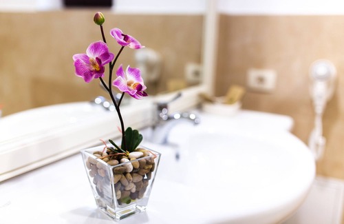 Alba Iulia Bed & Breakfast | Ave Alba