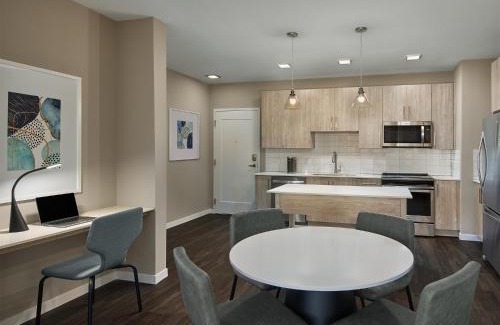 Downtown Tampa Apartment | AVE Tampa Riverwalk