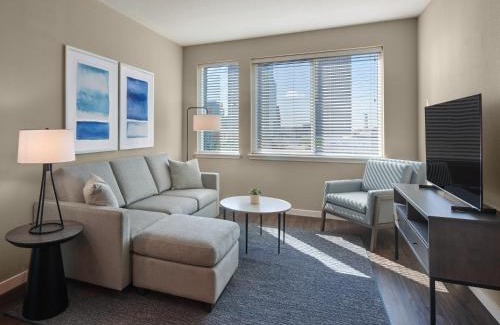 Downtown Tampa Apartment | AVE Tampa Riverwalk