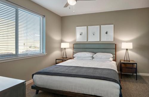 Downtown Tampa Apartment | AVE Tampa Riverwalk