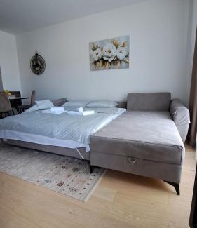 Alipasin Most Apartment | Avenija Luxury Apartment