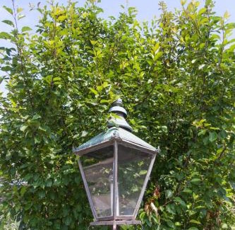 Stratford Bed & Breakfast | Avery House B&B