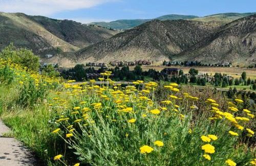 Eagle-Vail House | Avon Golf Getaway