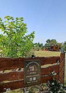 Drama Apartment | Avra Wooden House
