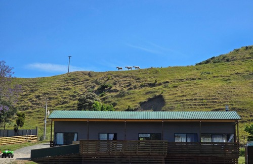 Tolaga Bay House | Awa on Factory Road