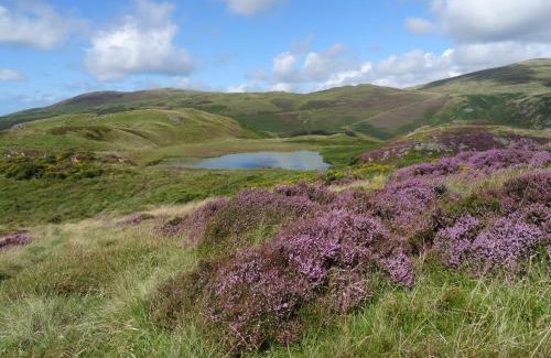 Aberdovey Bed & Breakfast | Awel y Mor