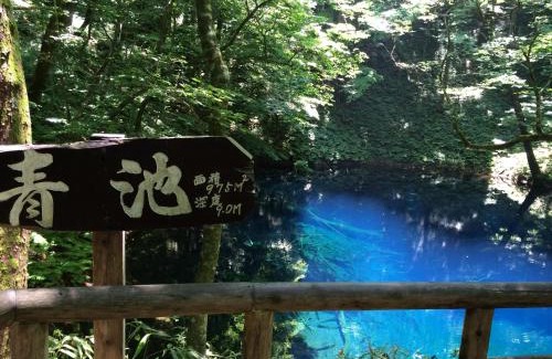 Matsukami Hotel | Awone Shirakami Juniko