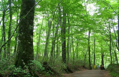 Matsukami Hotel | Awone Shirakami Juniko