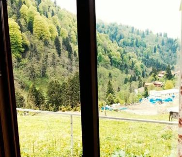 Ayder Yaylasi Apartment | Ayder Rainbow Gokkusagi