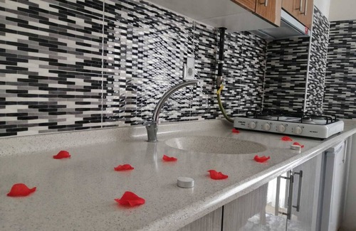 Bolu Apartment | Aydogdu Suit