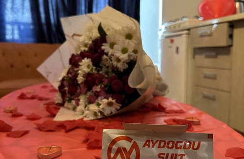 Bolu Apartment | Aydogdu Suit