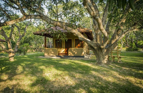Maho Resort | Ayurveda Paradise Maho