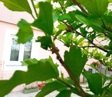 Tourais House | Azevinho Guest House